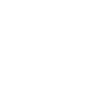 AMPI Logo