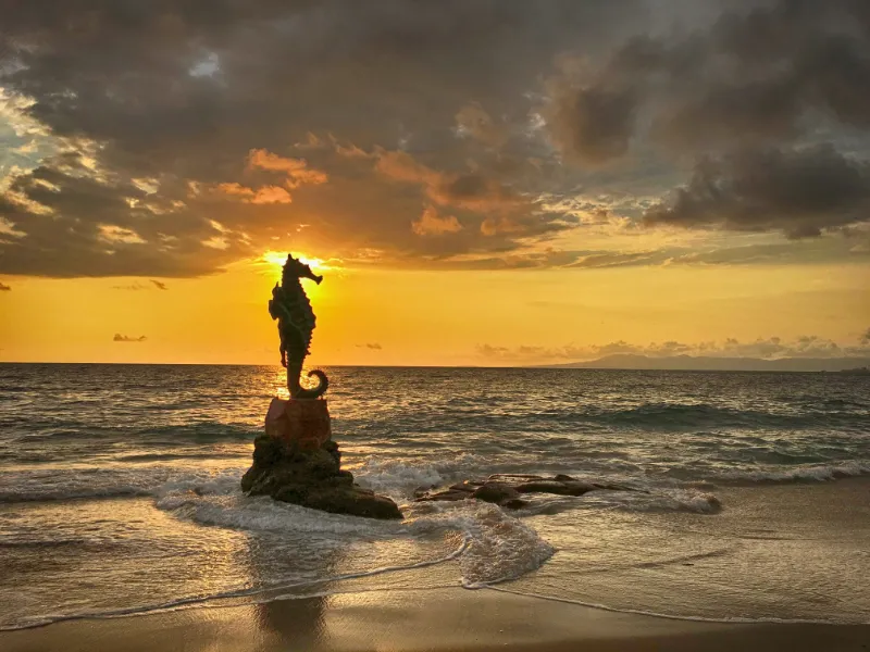 Real Estate Agency in Puerto Vallarta showcases a breathtaking sunset statue of a seahorse on top of a rock.